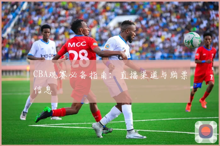 CBA观赛必备指南：直播渠道与购票信息