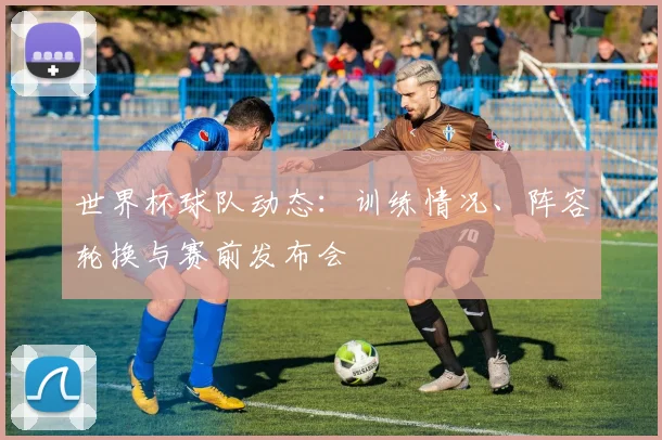 世界杯球队动态:训练情况、阵容轮换与赛前发布会