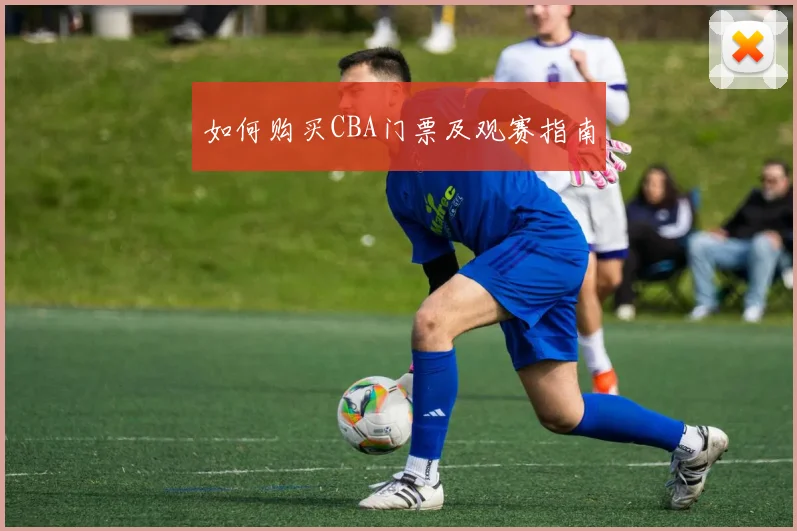 如何购买CBA门票及观赛指南